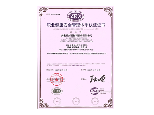 职业健康安全治理系统认证证书